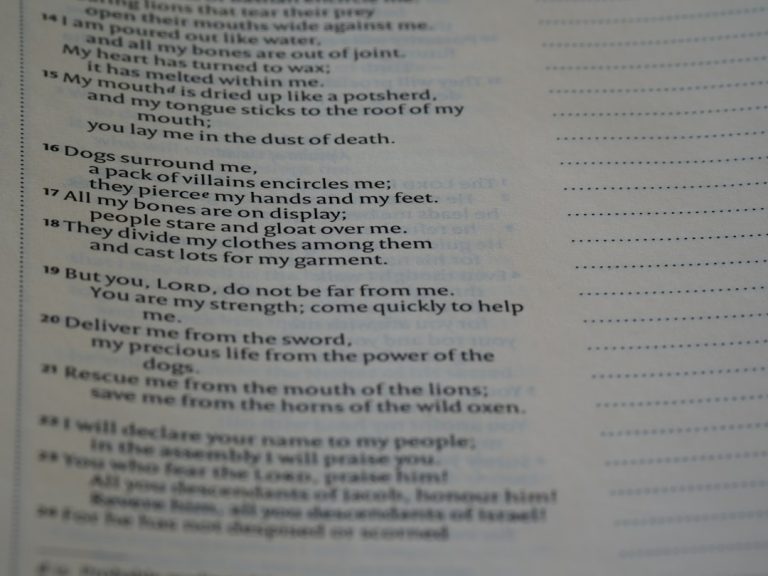 The Art of Polishing Your Prose: A Guide to Professional Proofreading for Authors